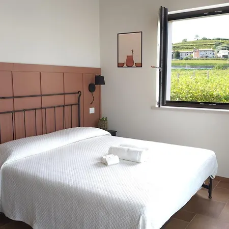 Igino - Tra I Vigneti Colazione Semplice Parcheggio Gratuito 팜스테이