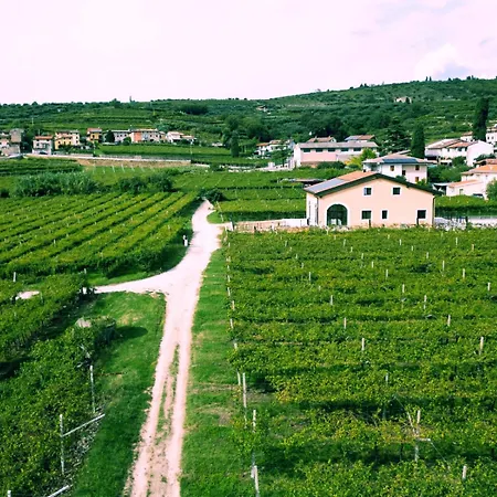 팜스테이 Igino - Tra I Vigneti Colazione Semplice Parcheggio Gratuito