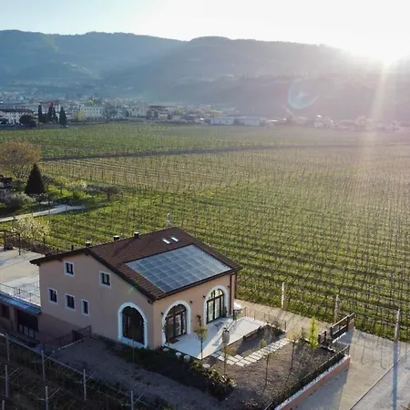 Igino - Tra I Vigneti Colazione Semplice Parcheggio Gratuito 팜스테이