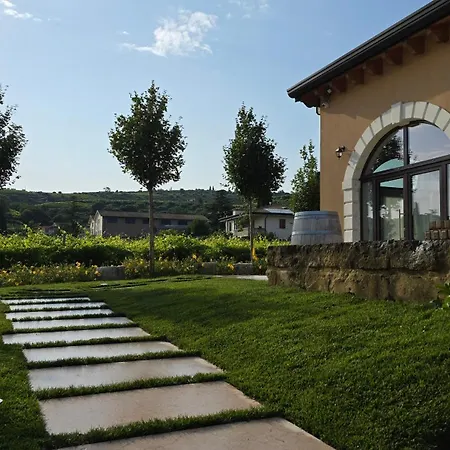 Igino - Tra I Vigneti Colazione Semplice Parcheggio Gratuito 팜스테이