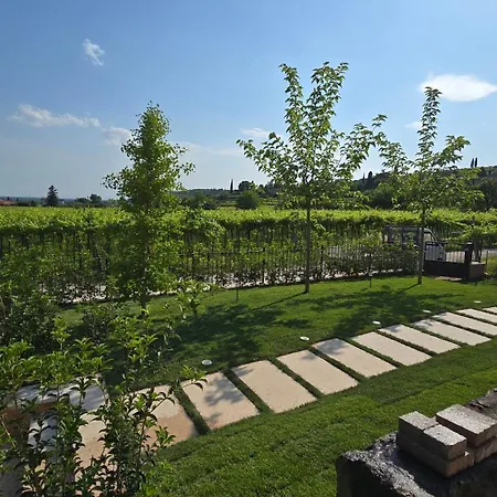 Igino - Tra I Vigneti Colazione Semplice Parcheggio Gratuito * 네그라르