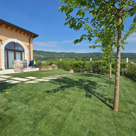 Igino - Tra I Vigneti Colazione Semplice Parcheggio Gratuito 팜스테이