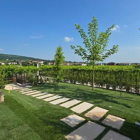 Igino - Tra I Vigneti Colazione Semplice Parcheggio Gratuito 팜스테이 *