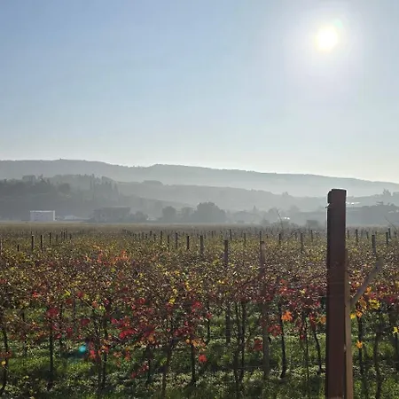 Alojamento de Turismo Rural Igino - Con Vista Sui Vigneti - Negrar