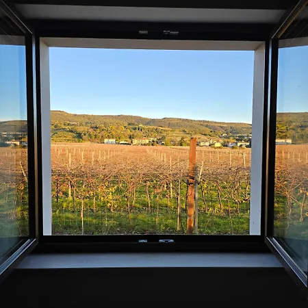 Igino - Con Vista Sui Vigneti - * Negrar